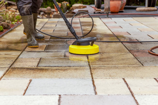 Best Animal Enclosure Cleaning  in Red Hill, SC